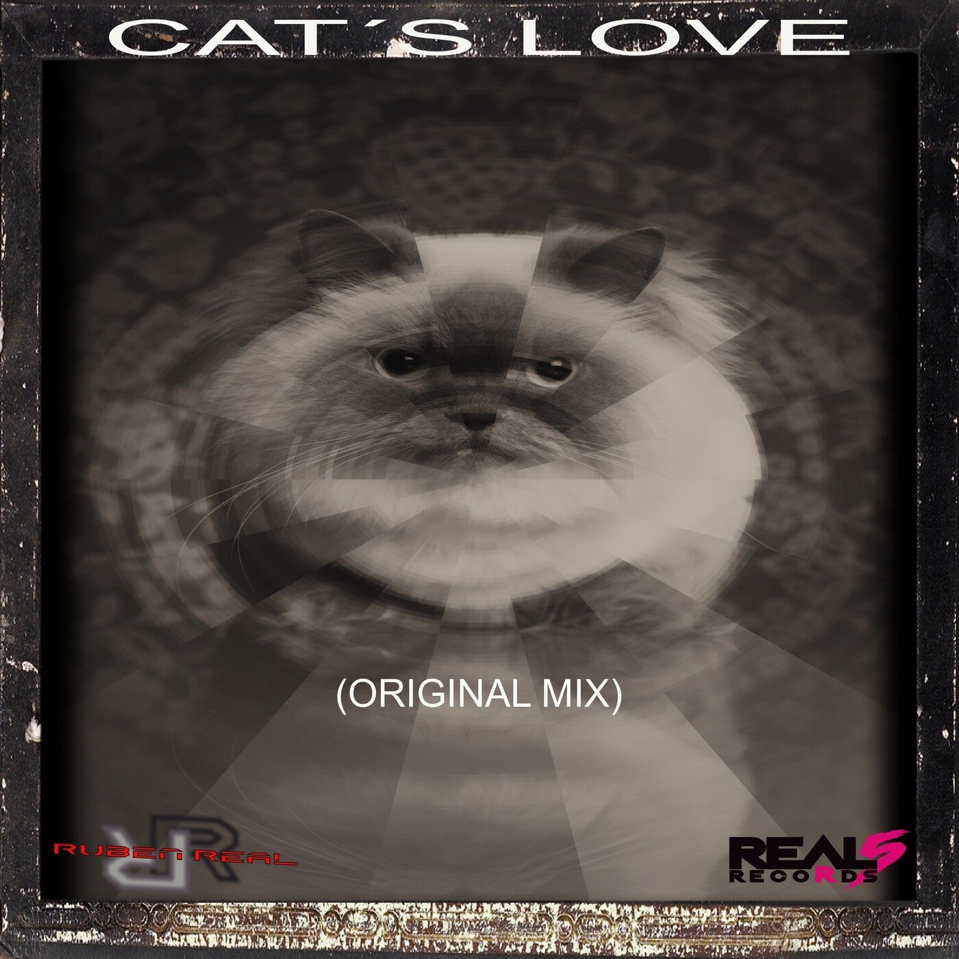 Cat's Love (Original Mix)