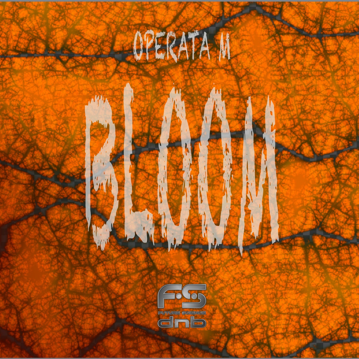 Bloom