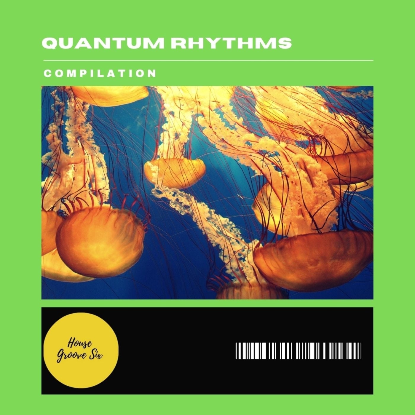 Quantum Rhythms