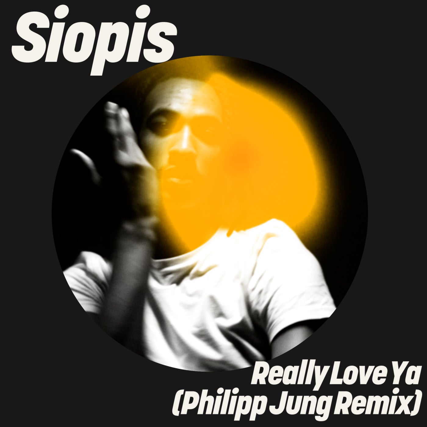 Really Love Ya (Philipp Jung Remix)