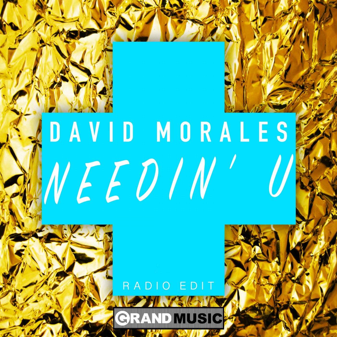 Needin' U - Radio Edit