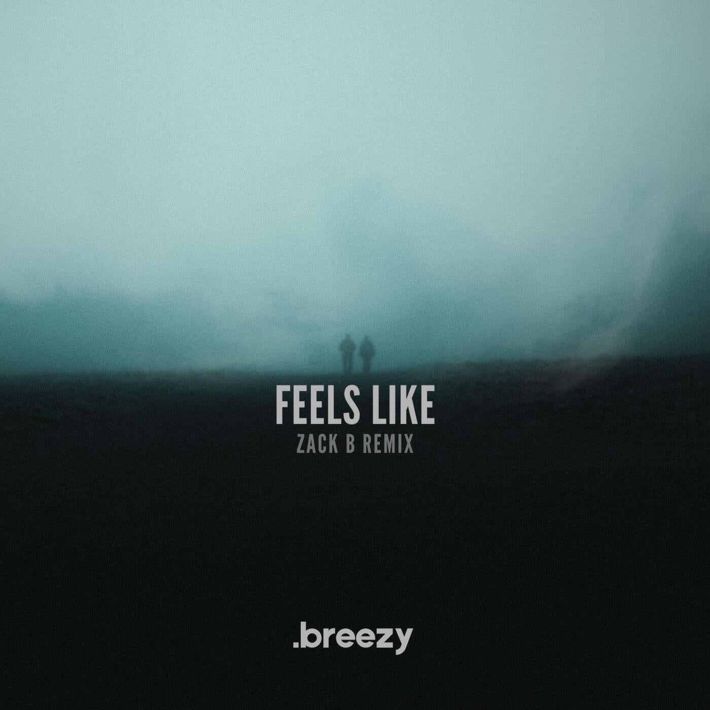 Feels Like (Zack B Remix)
