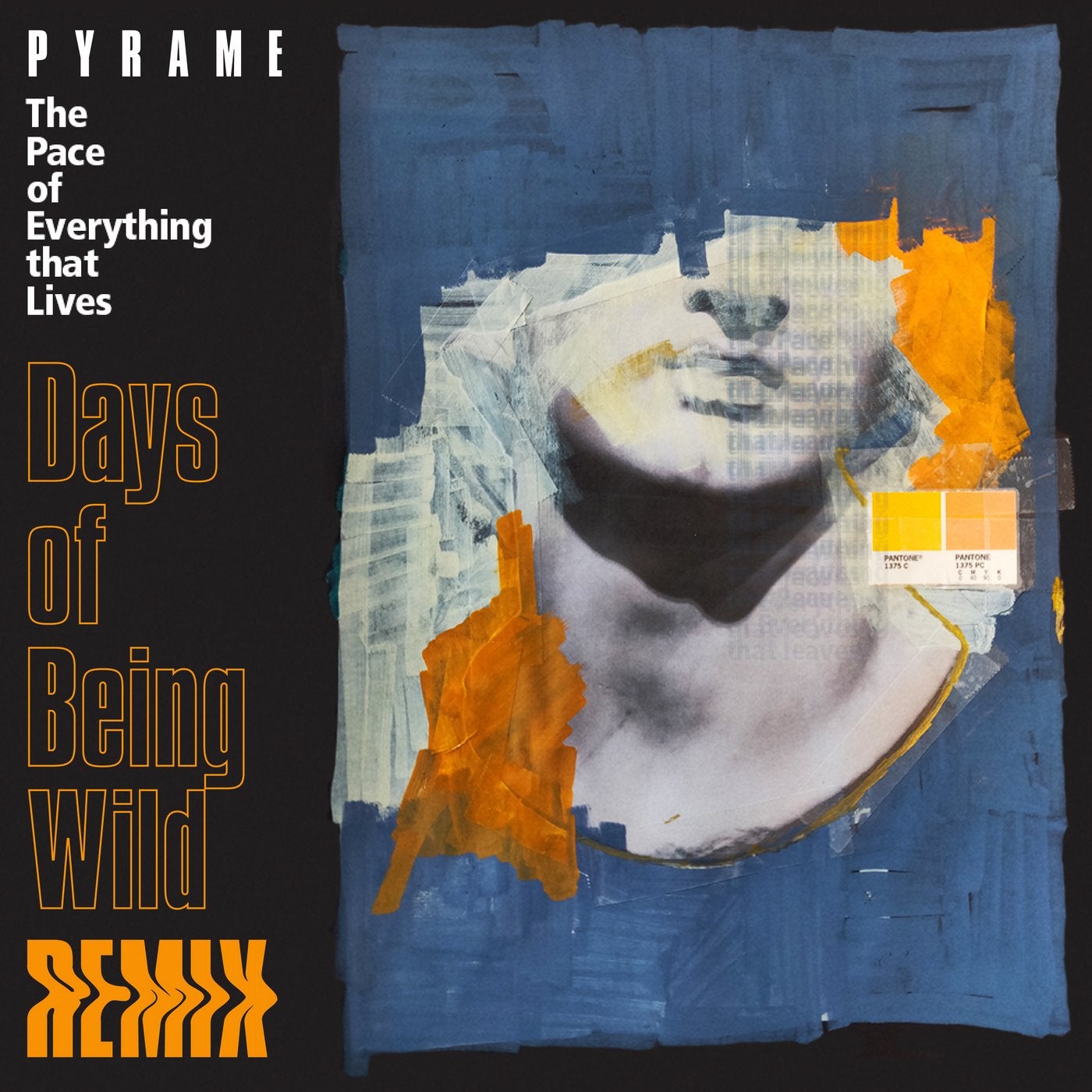 The Pace of Everything that Lives (Days of Being Wild Remix)