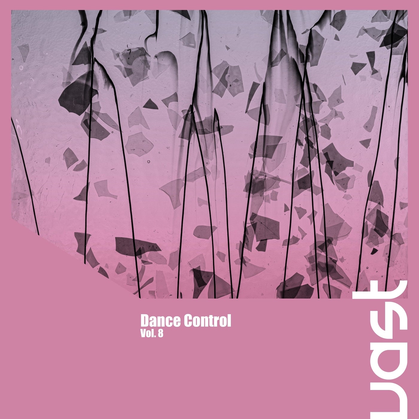 Dance Control, Vol. 8