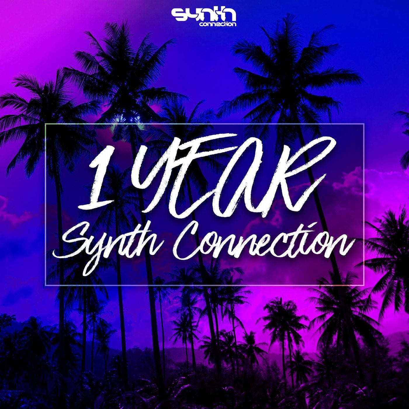 1 Year Synth Connection