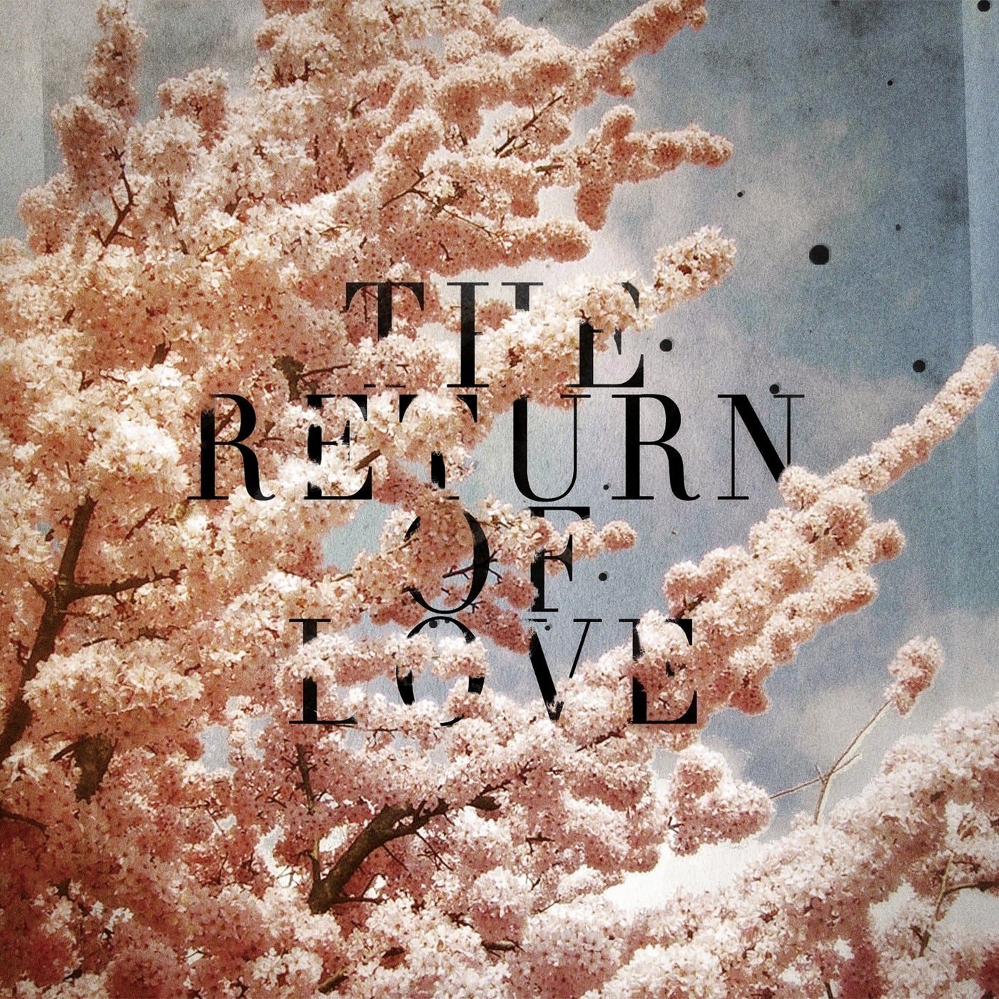 The Return of Love