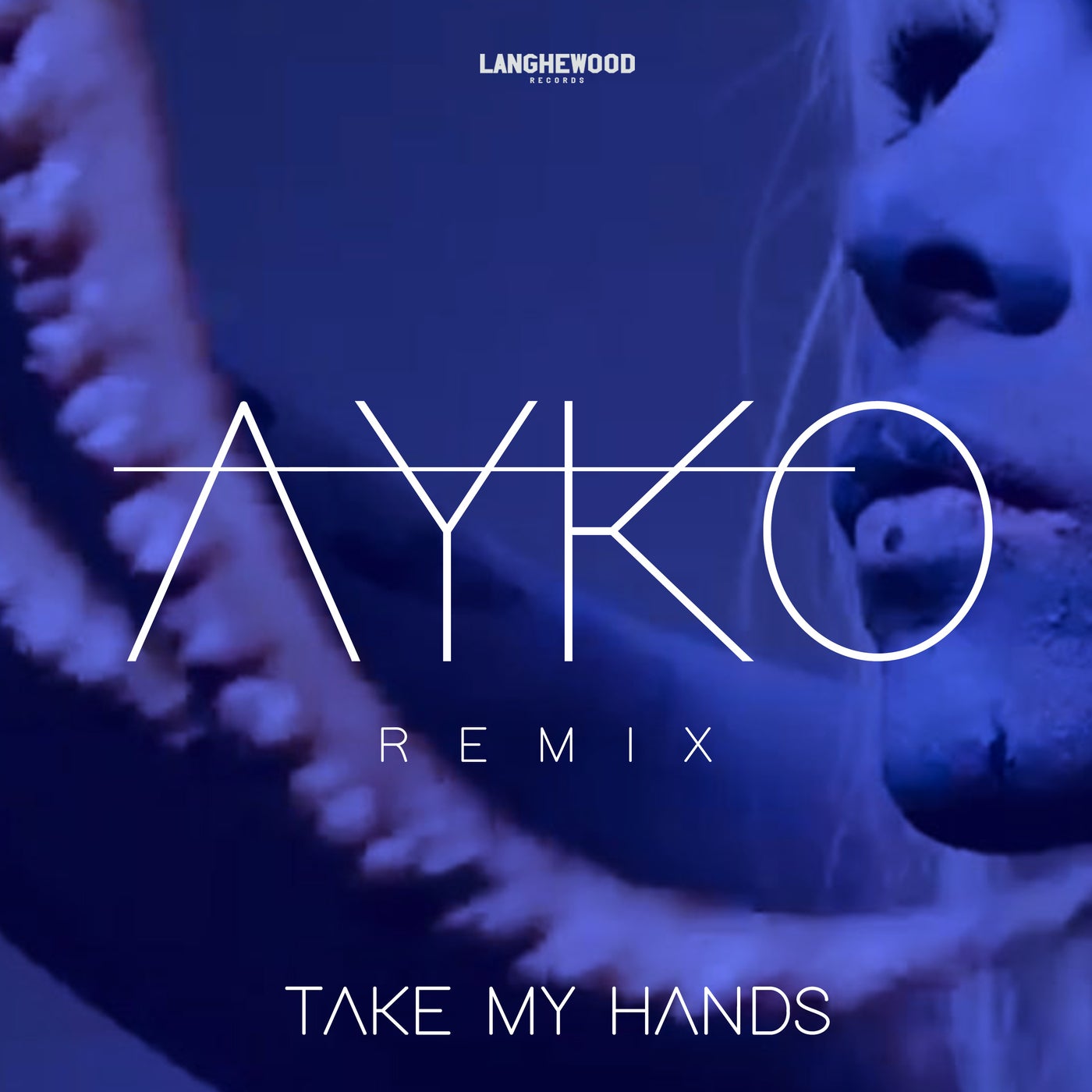 Take My Hands (Langhewood Mix)