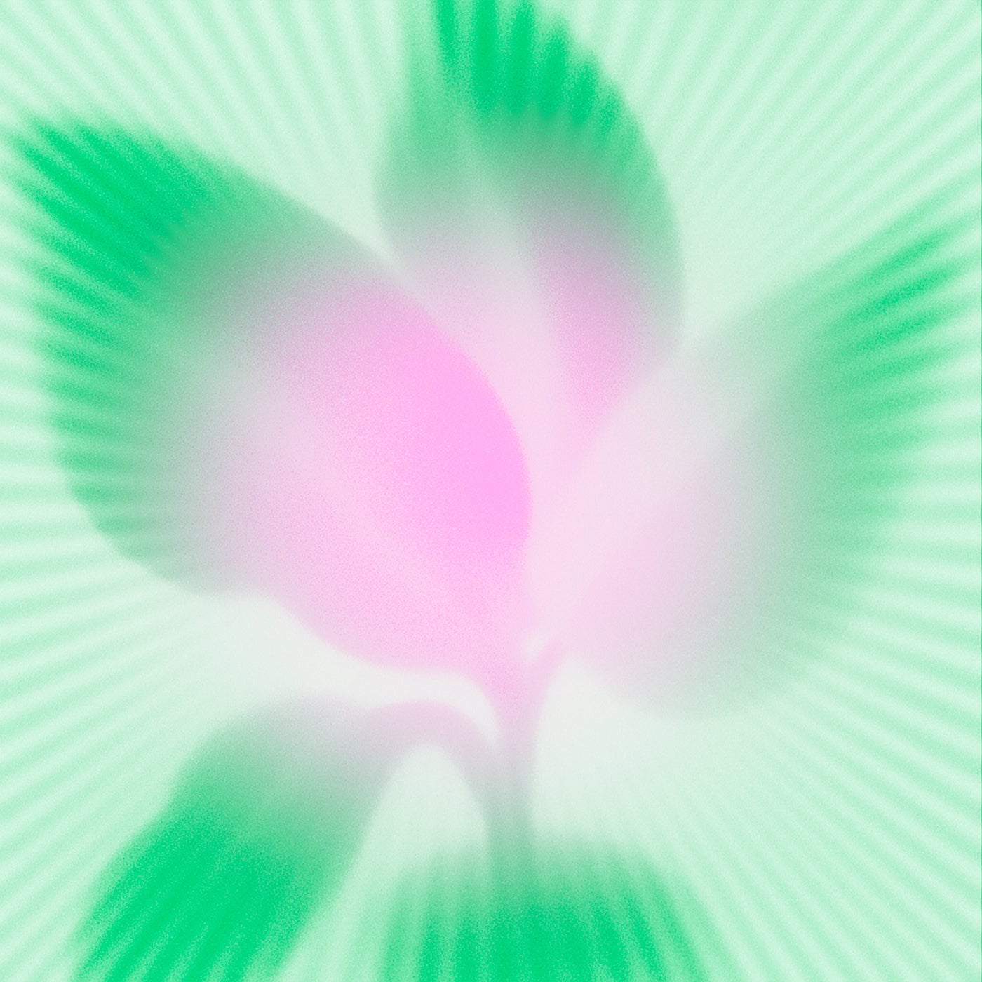 The Plant Spirits
