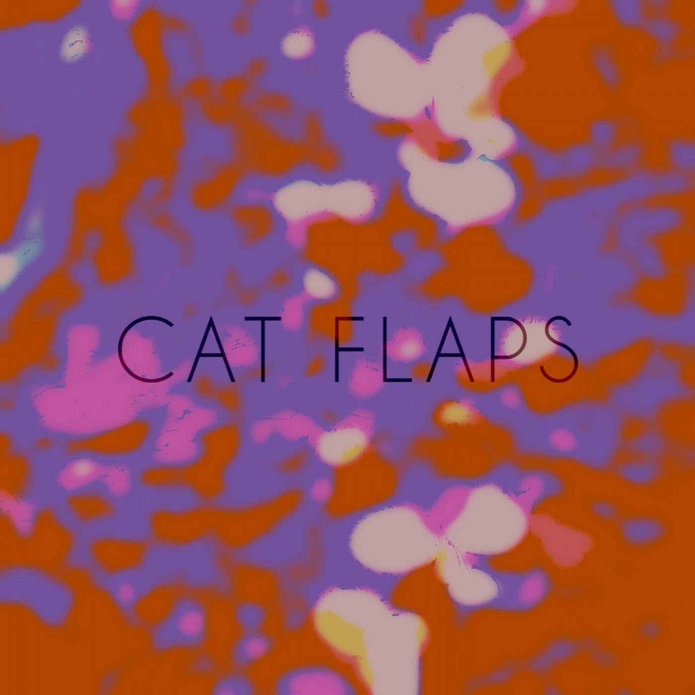 Cat Flaps