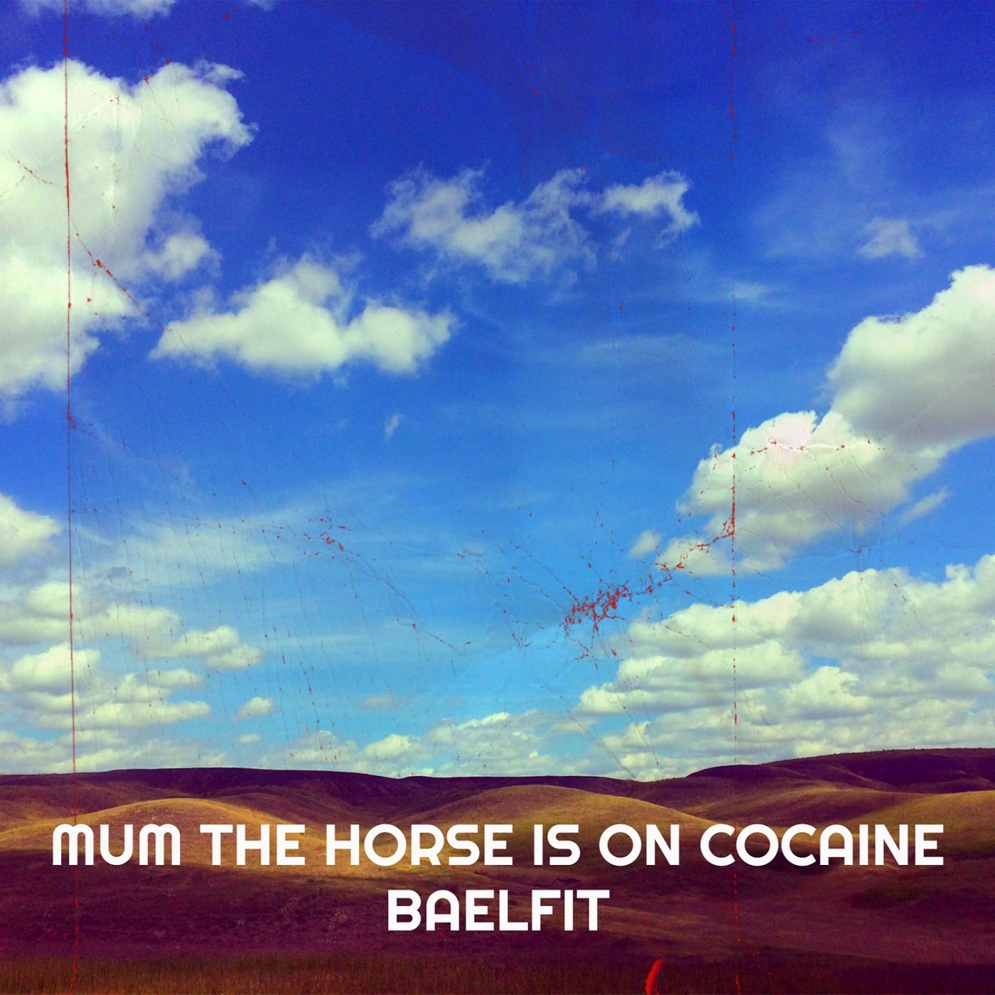 Mum the Horse Is on Cocaine