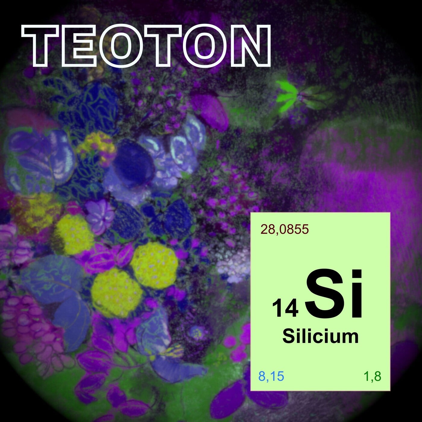 Silicium