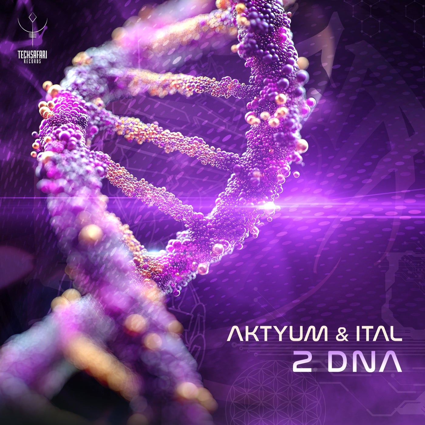 2 DNA