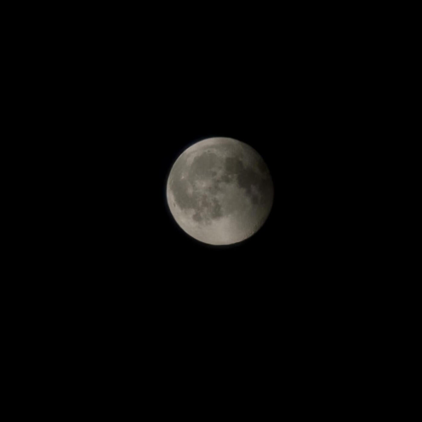 Moonbeam