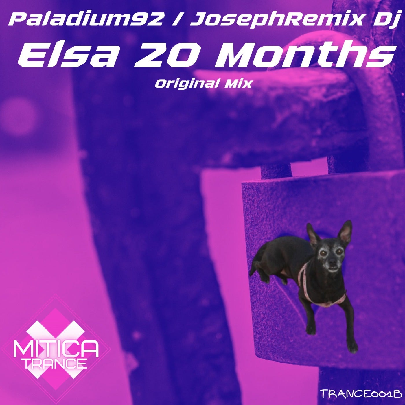 Elsa 20 Months