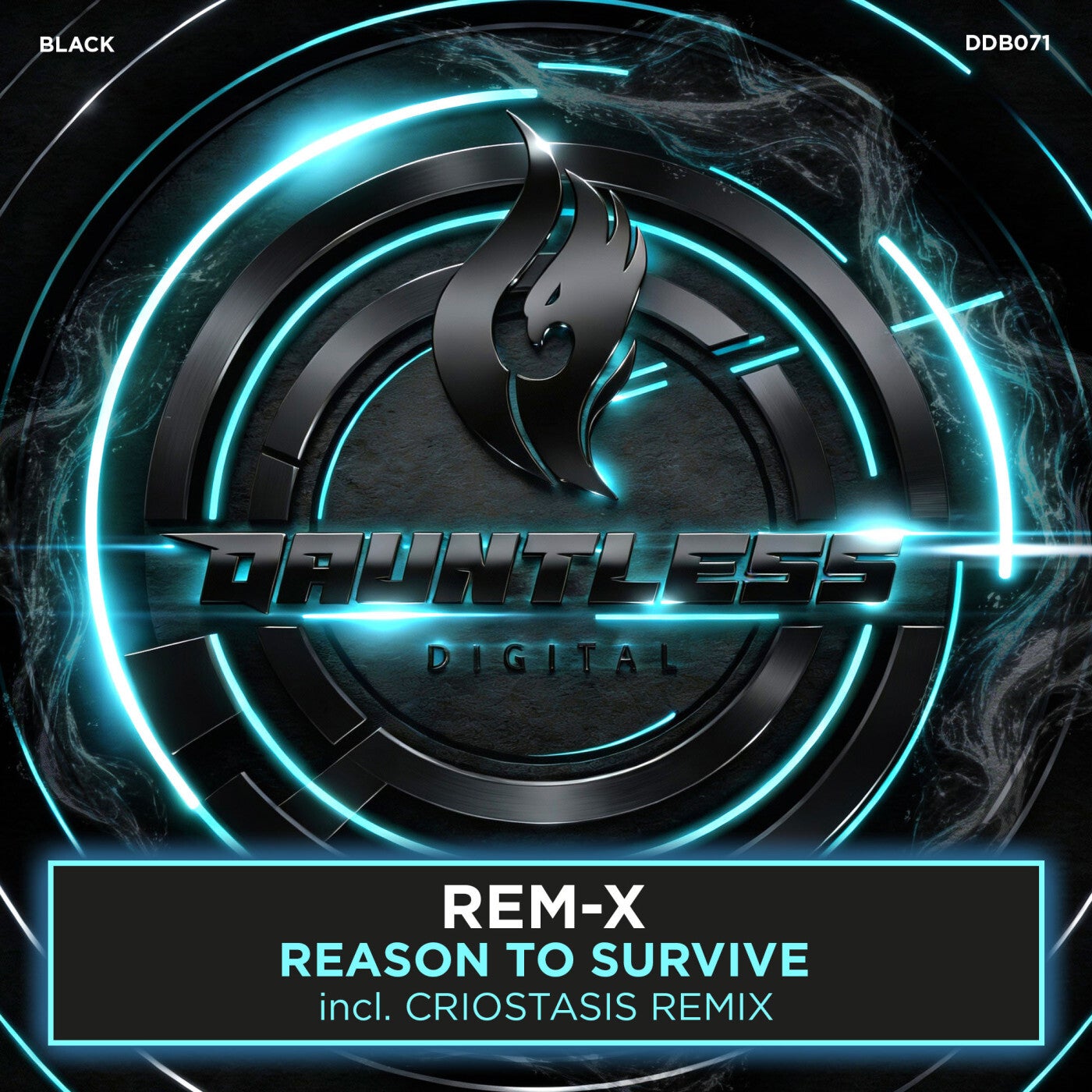 www.beatport.com