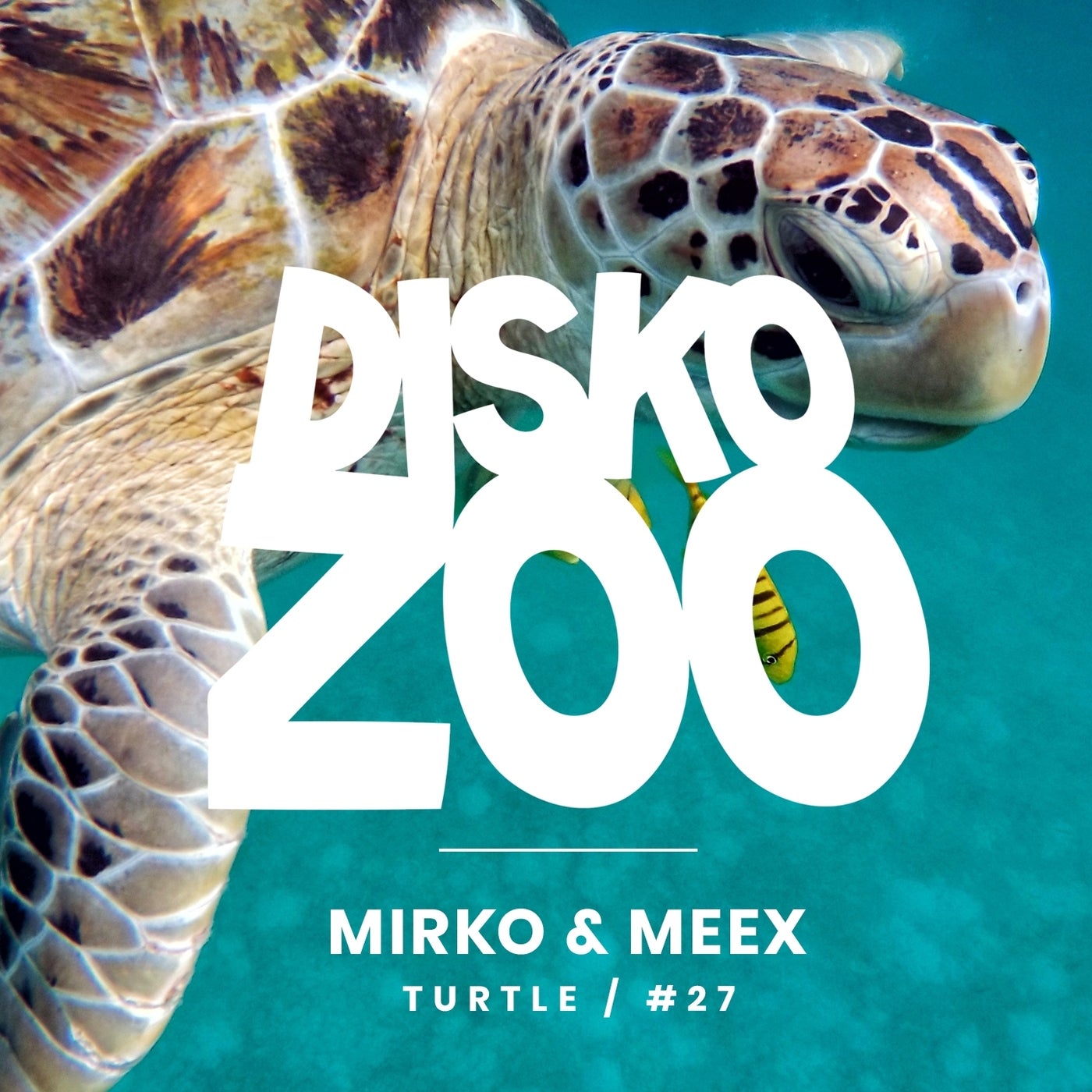 Turtle
