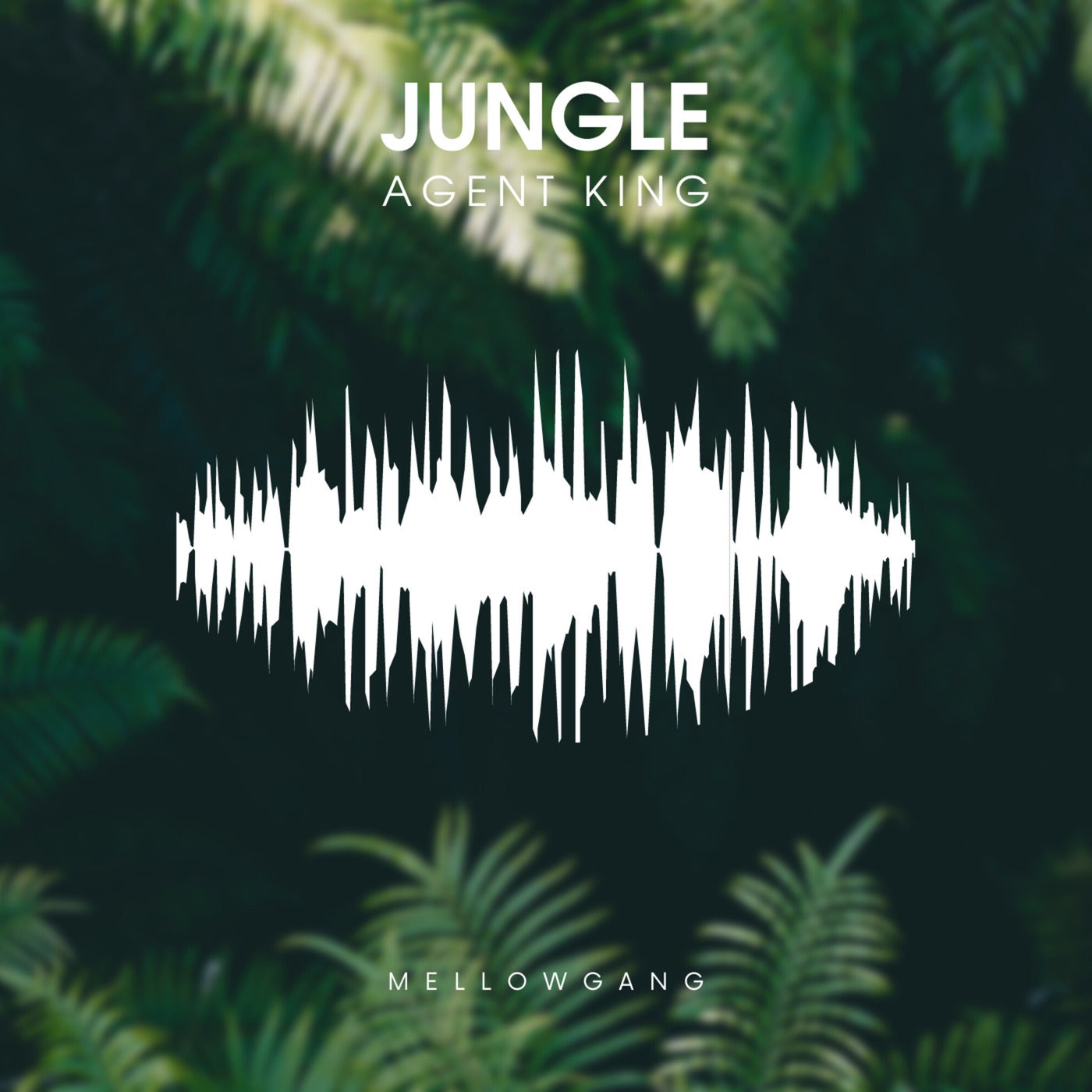 Jungle