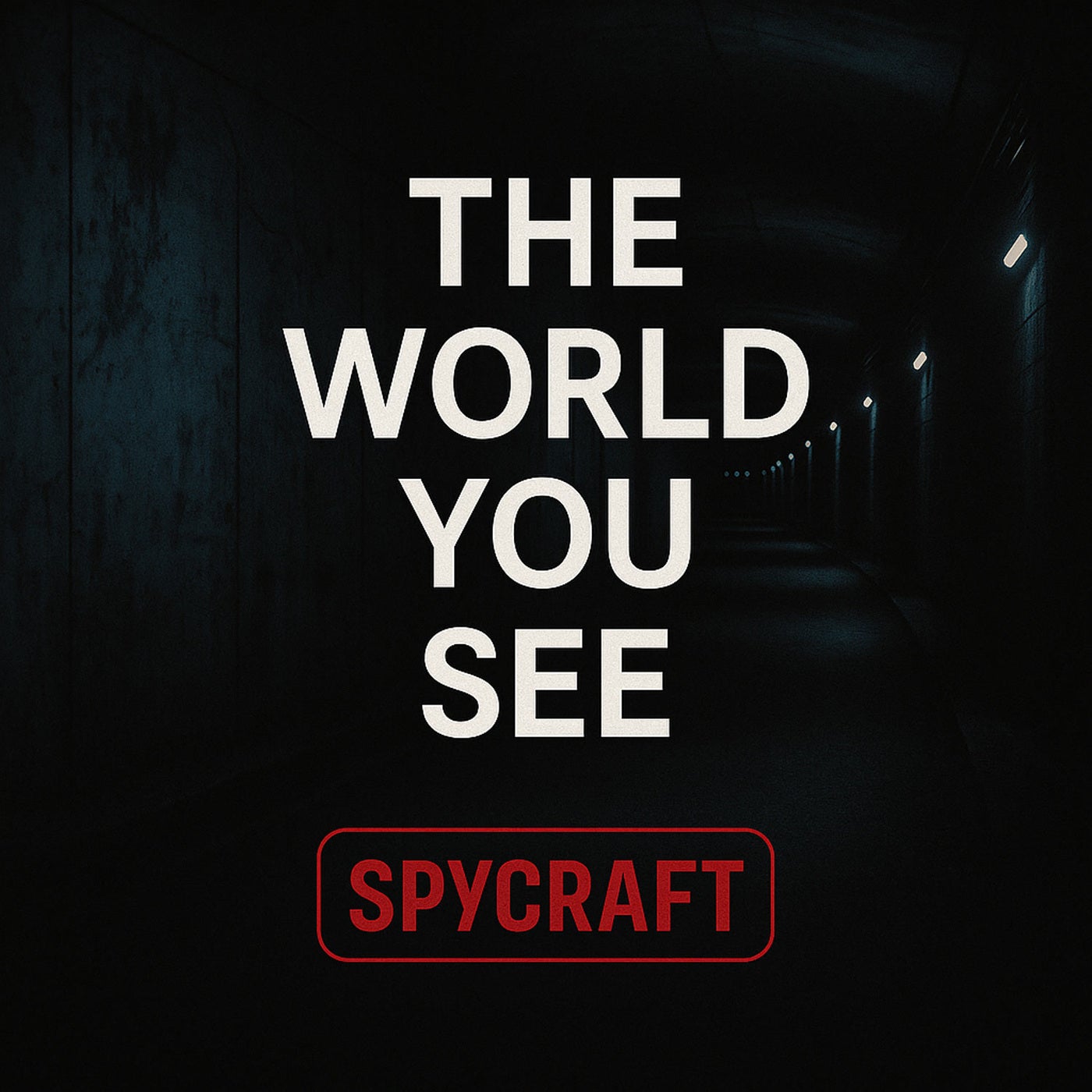 The World You See