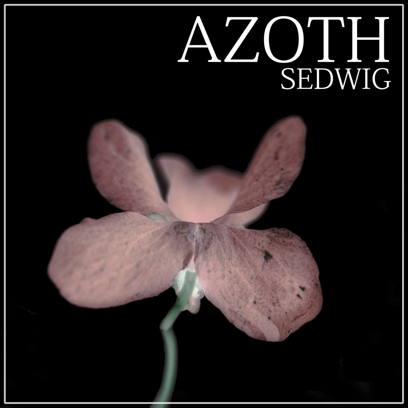 Azoth