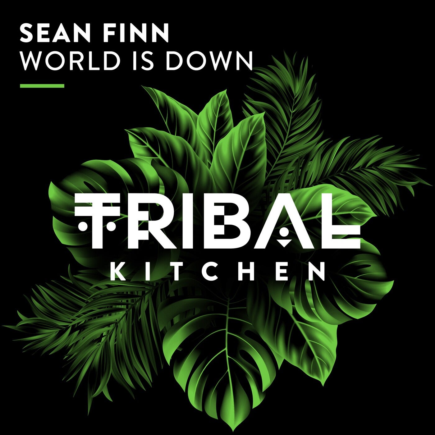 Sean Finn –  World Is Down [Tribal Kitchen]