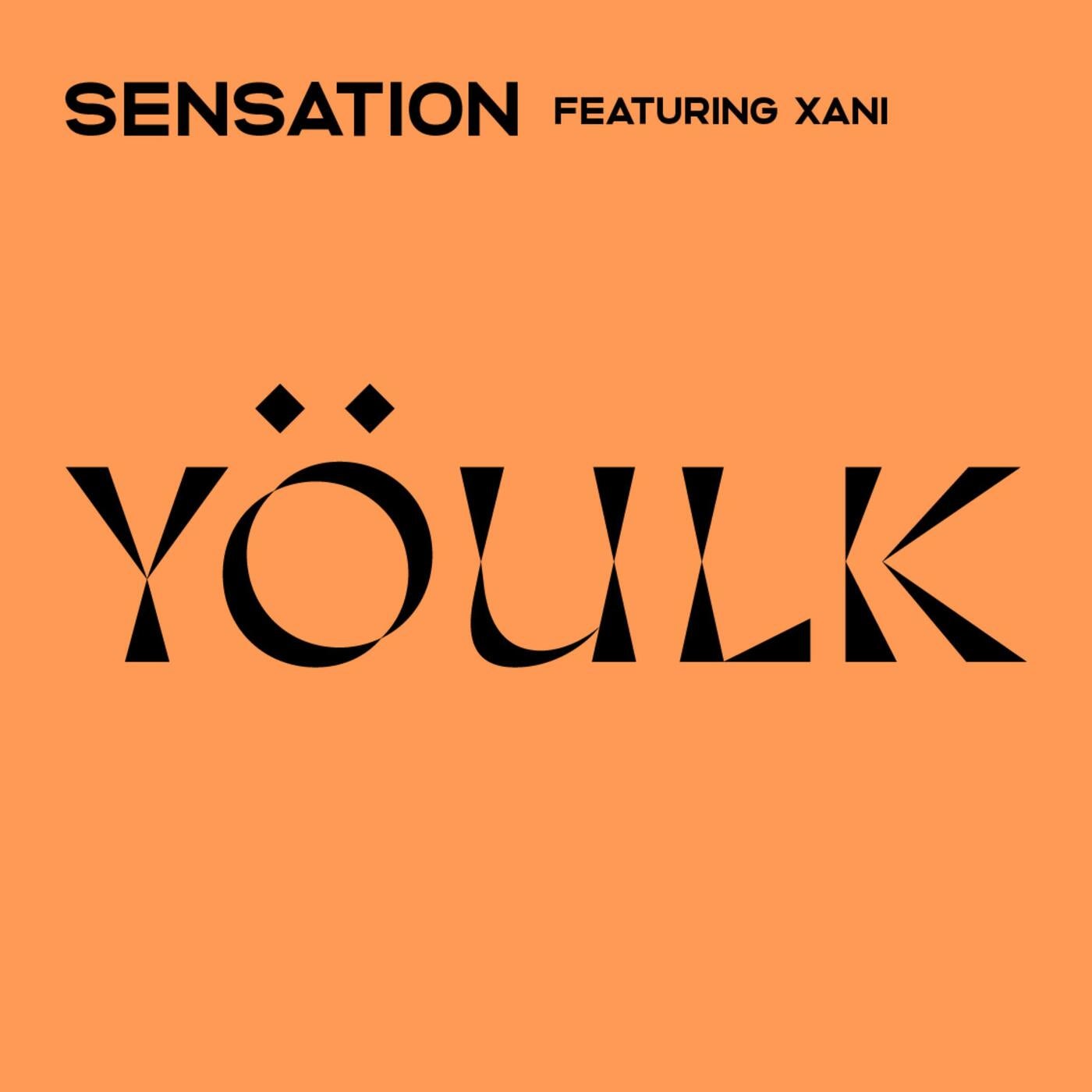 Sensation (feat. Xani)