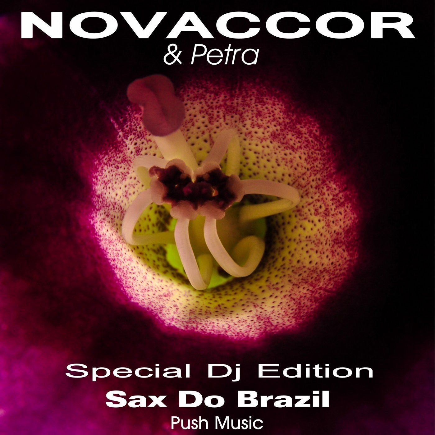 Sax Do Brazil(Special DJ Edition)