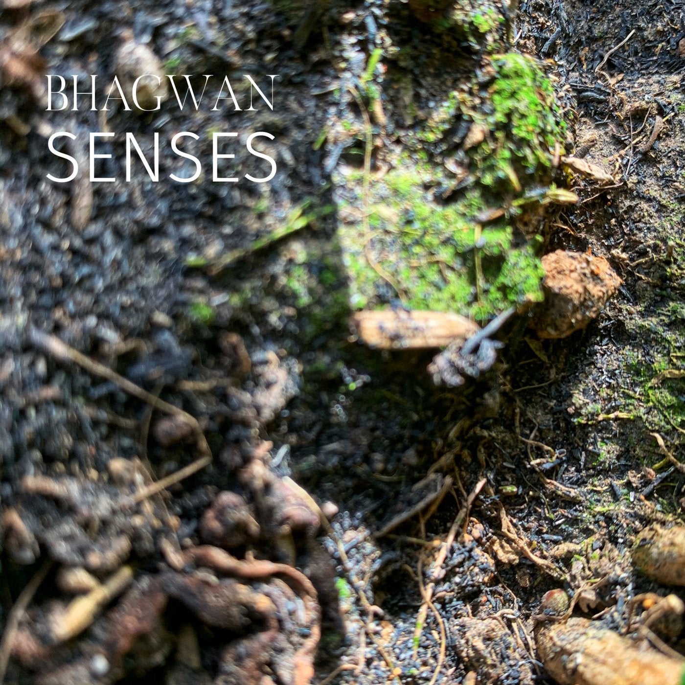 Senses