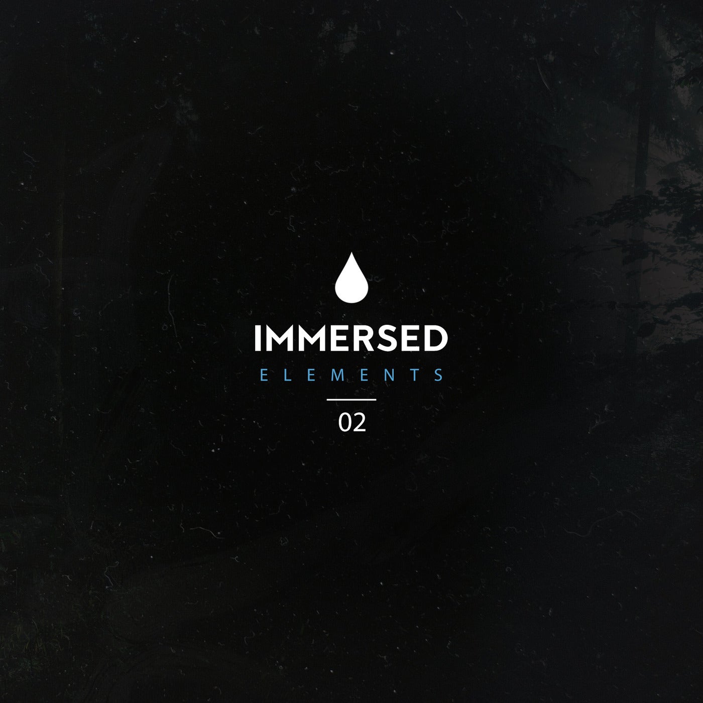 Immersed Elements 02