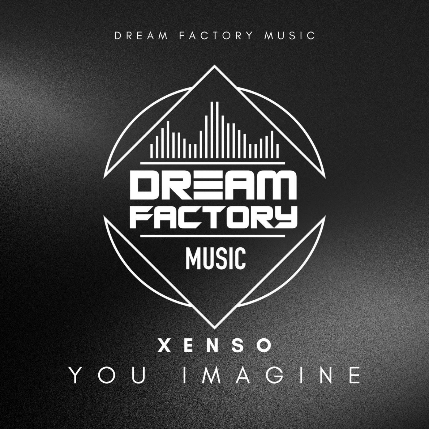 You imagine (original mix)