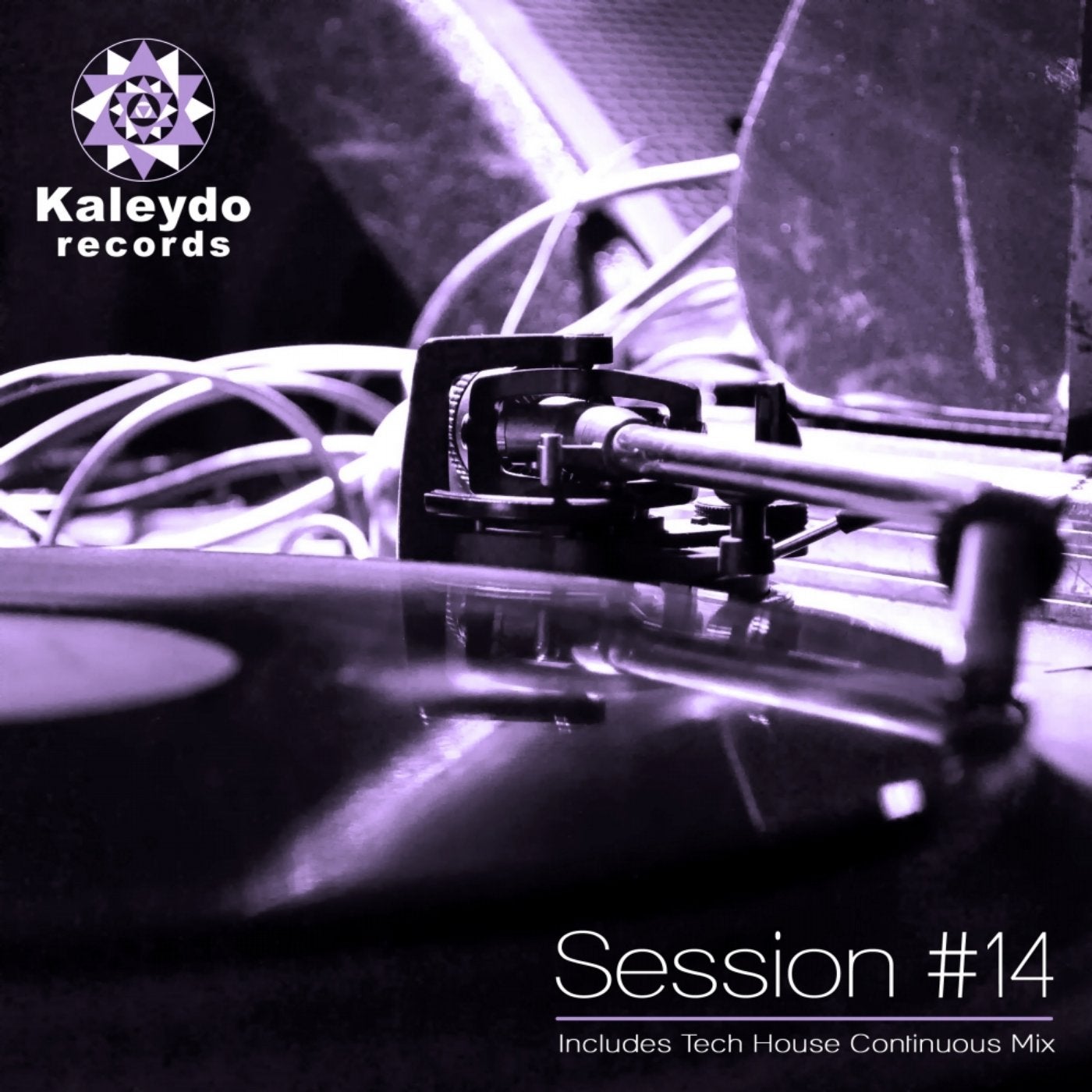 Kaleydo Records Session #14