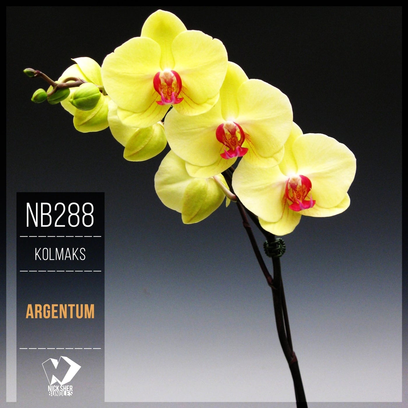 Argentum