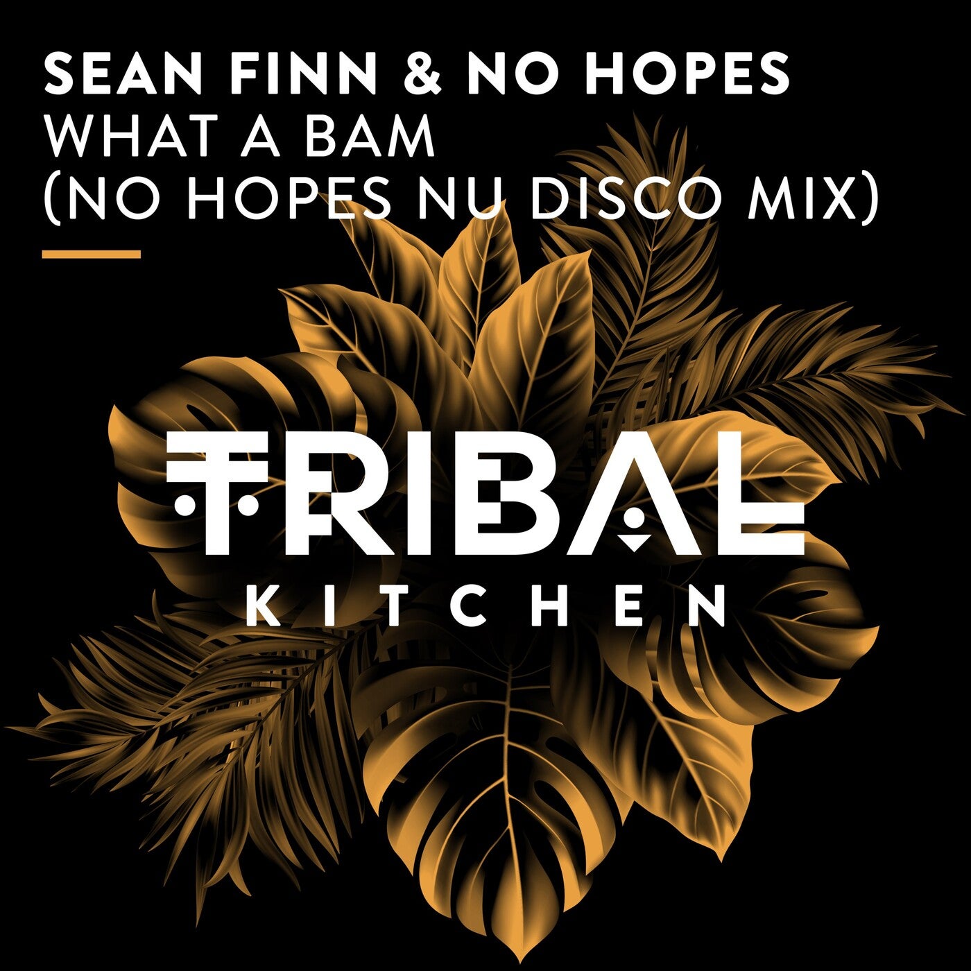 What a Bam (No Hopes Nu Disco Mix)
