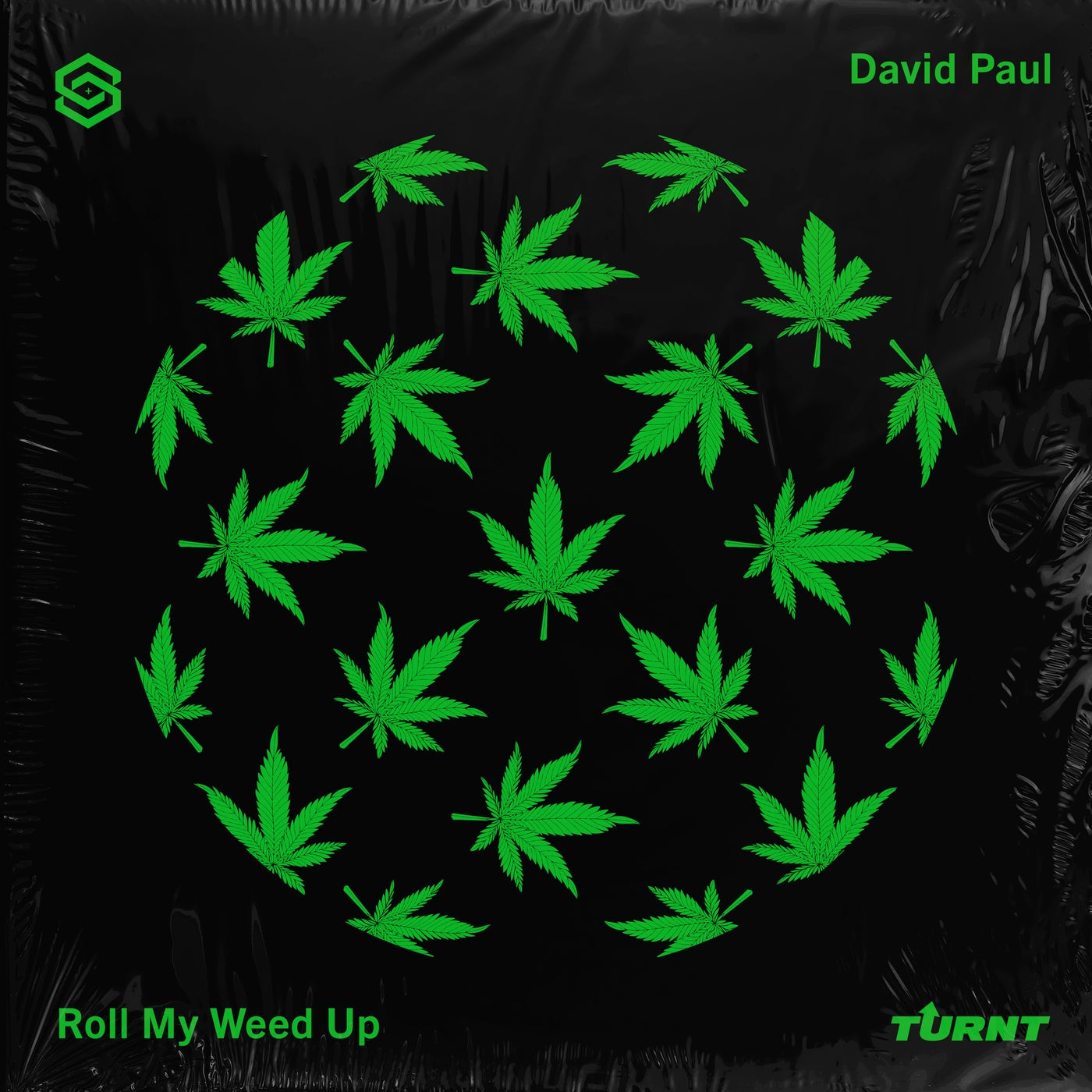 David Paul – Roll My Weed Up [S&S Sound House]