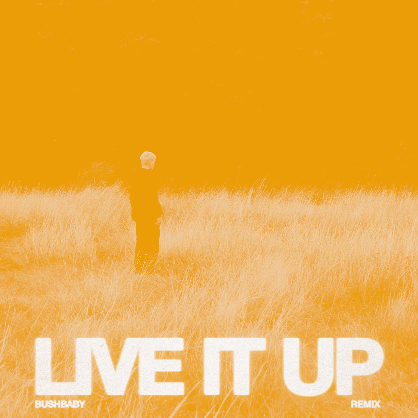 LIVE IT UP - Bushbaby Remix