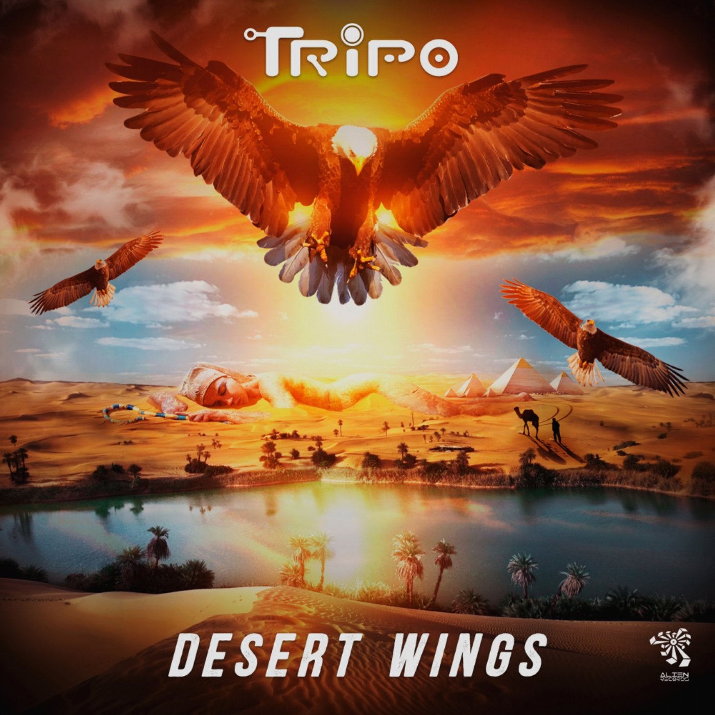 Desert Wings