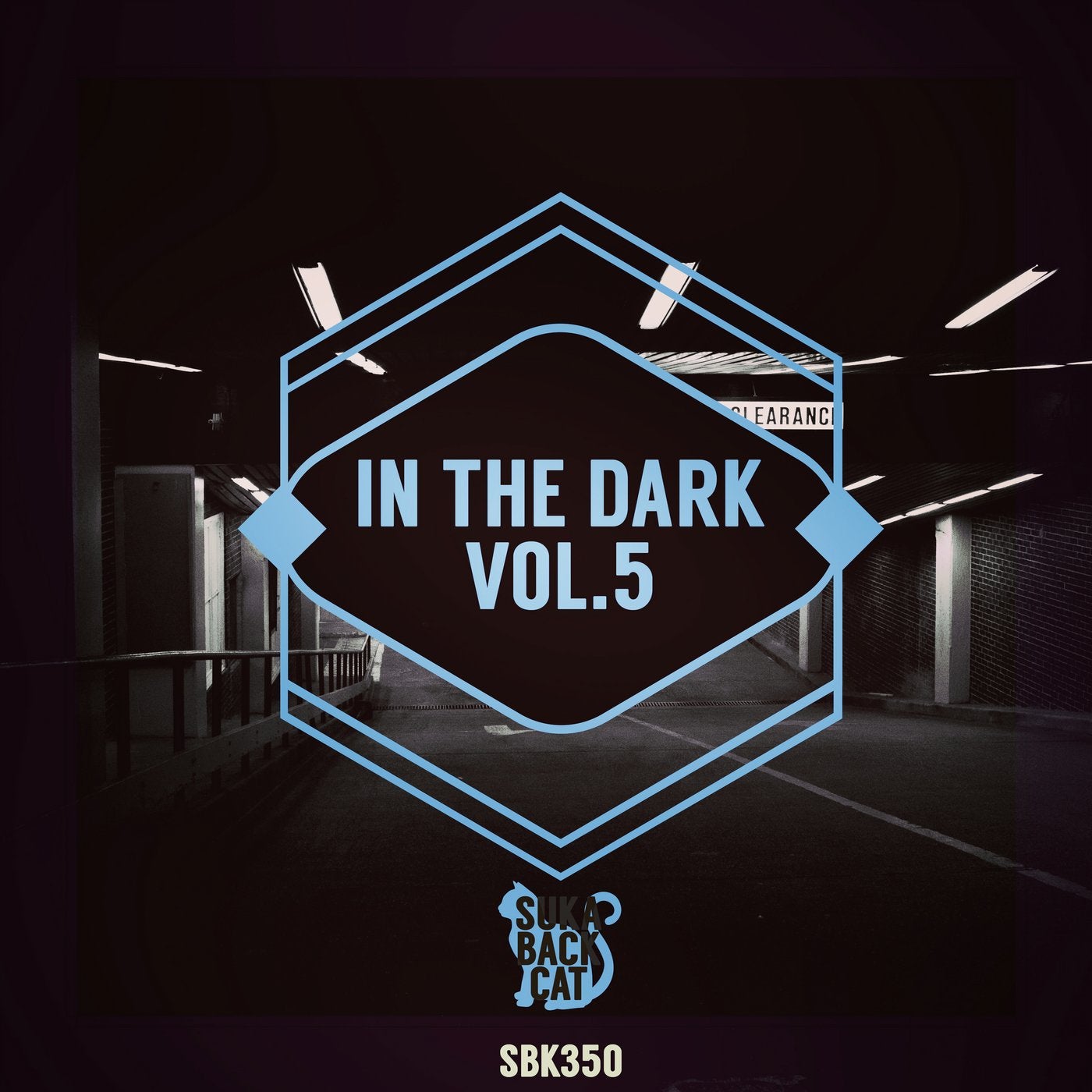 In the Dark, Vol. 5