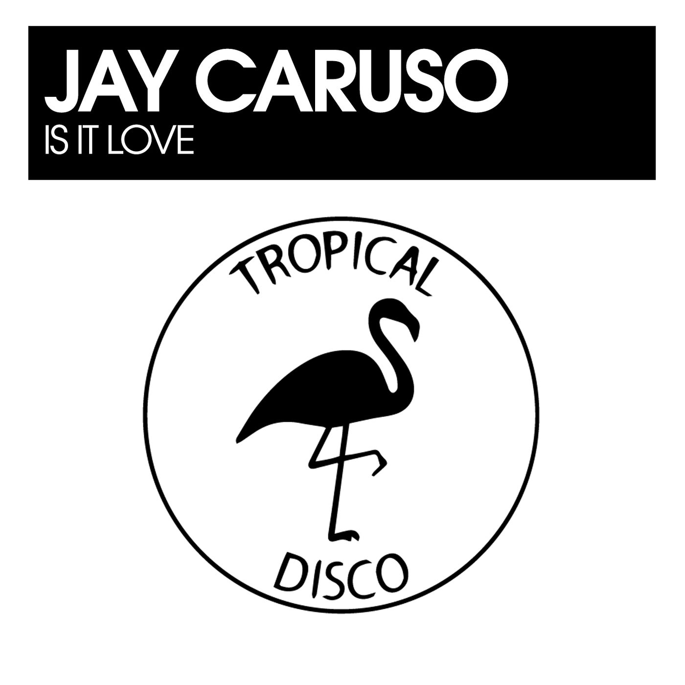 Jay Caruso Is It Love Tropical Disco Records Music