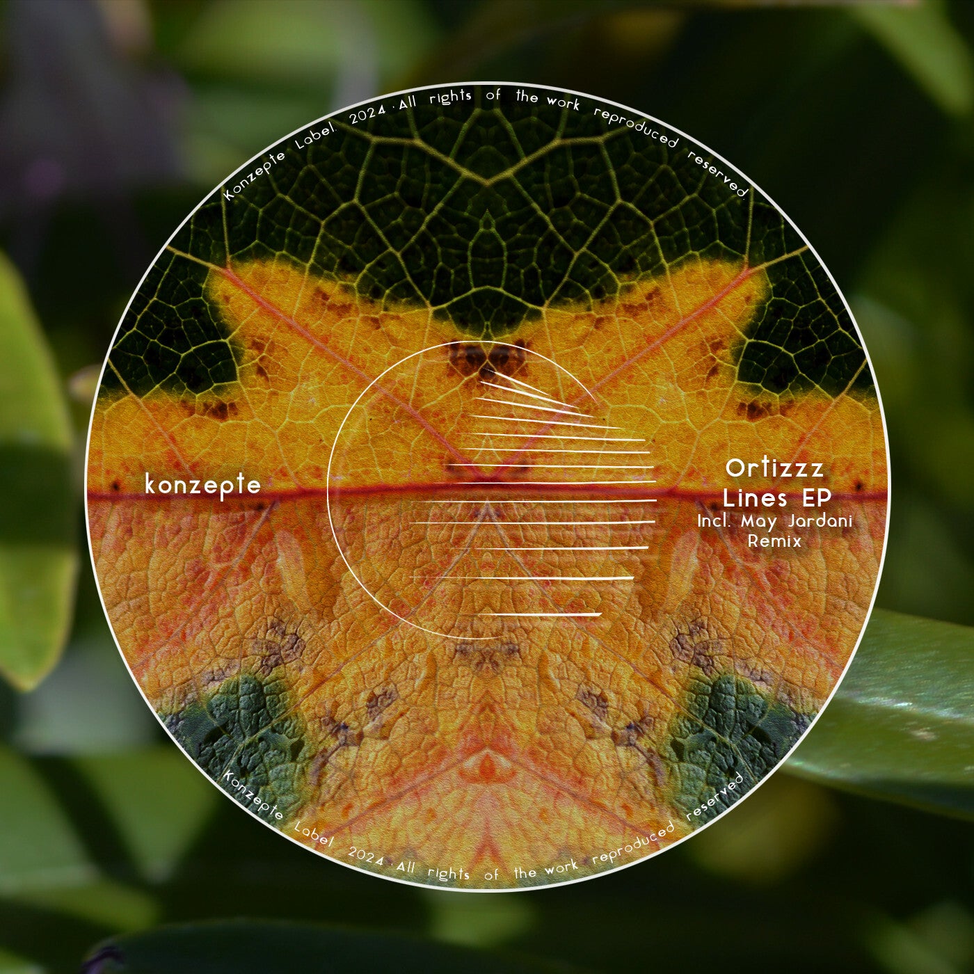 Lines EP