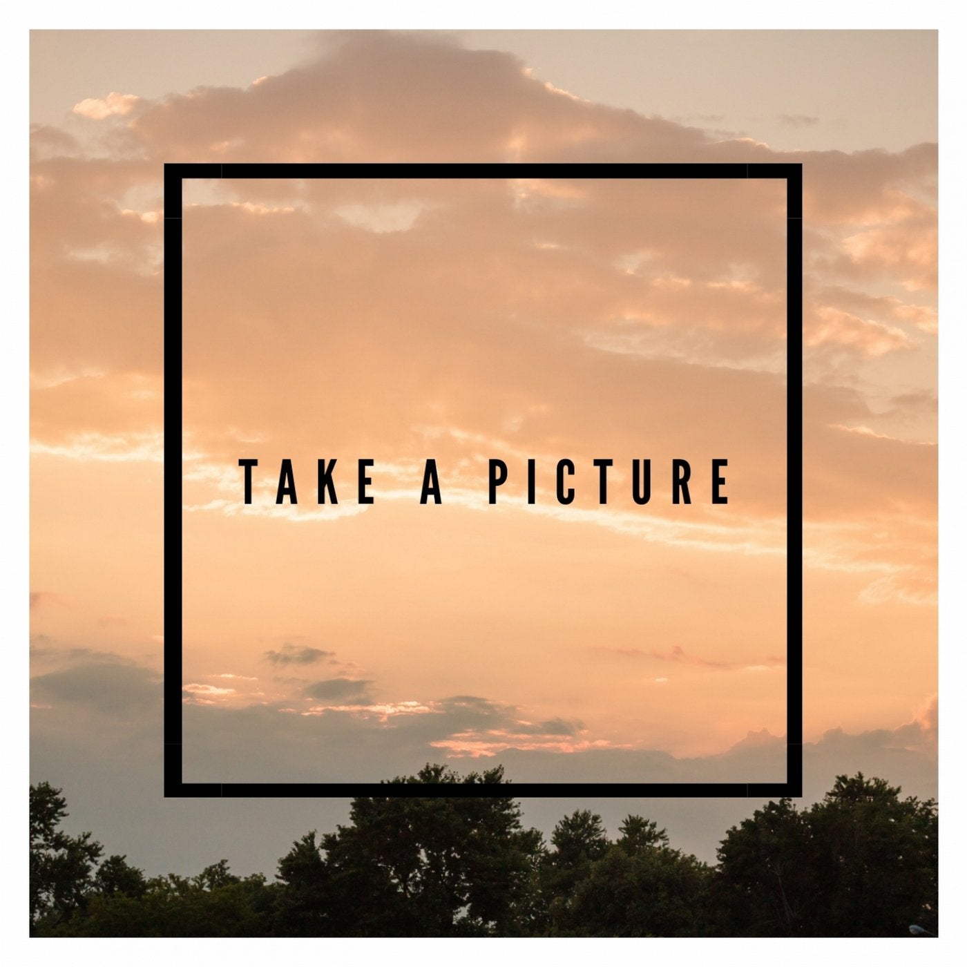 Take a Picture