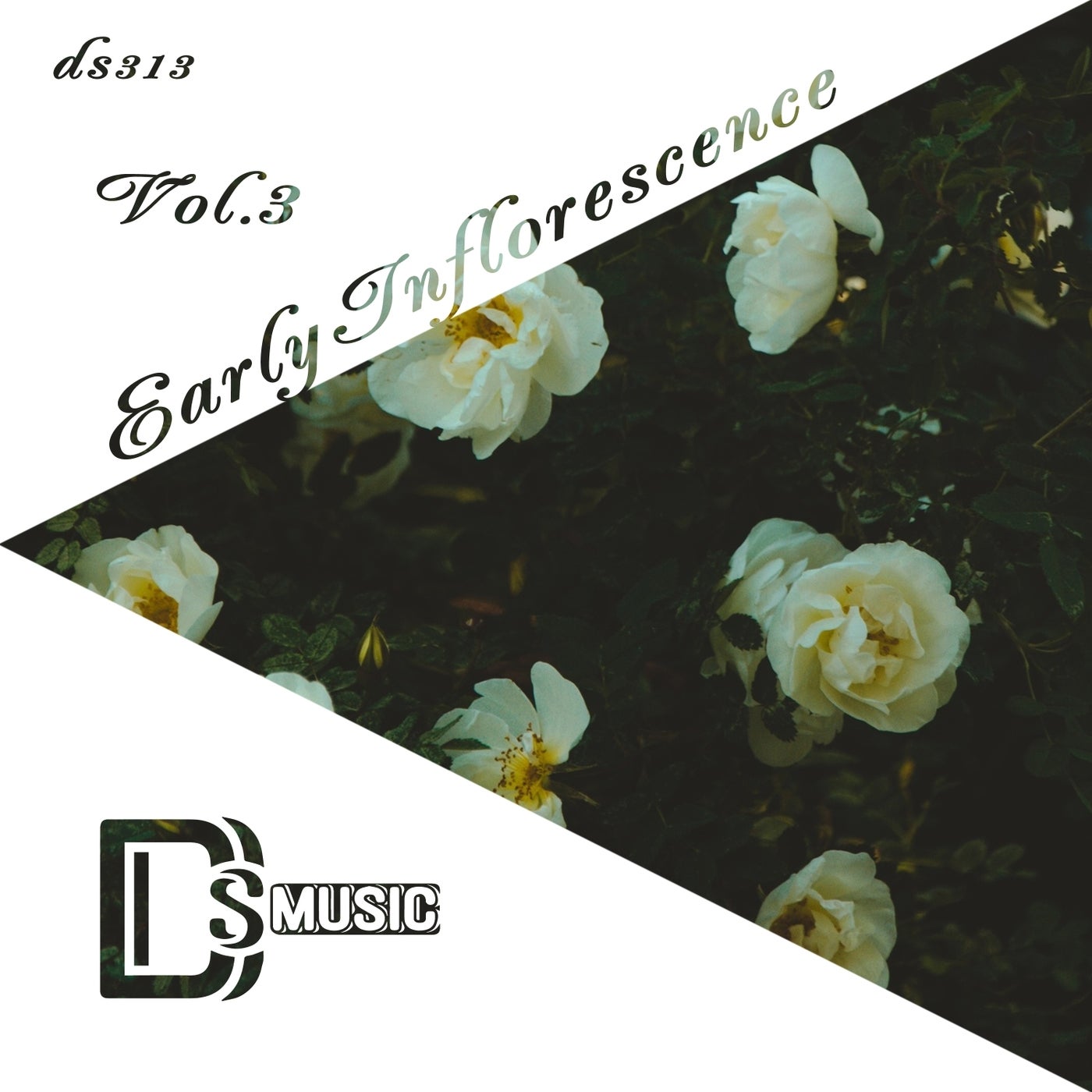 Early Inflorescence, Vol. 3
