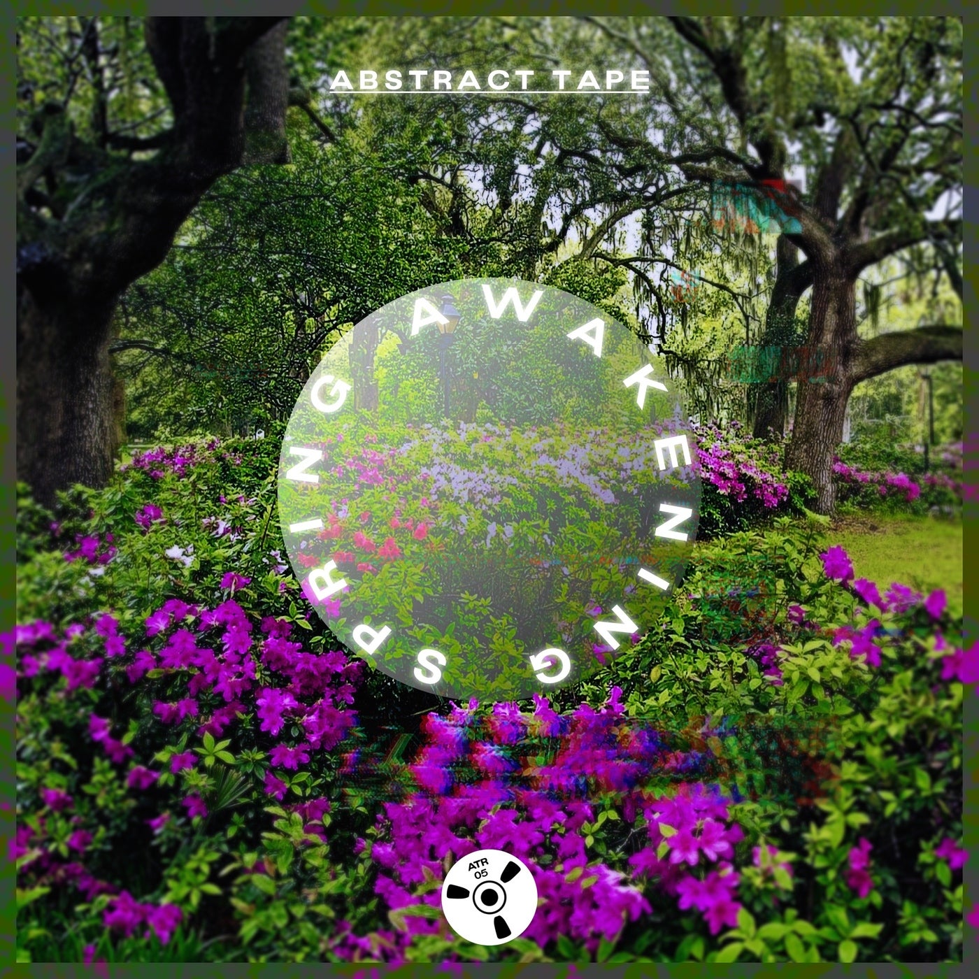Spring Awakening