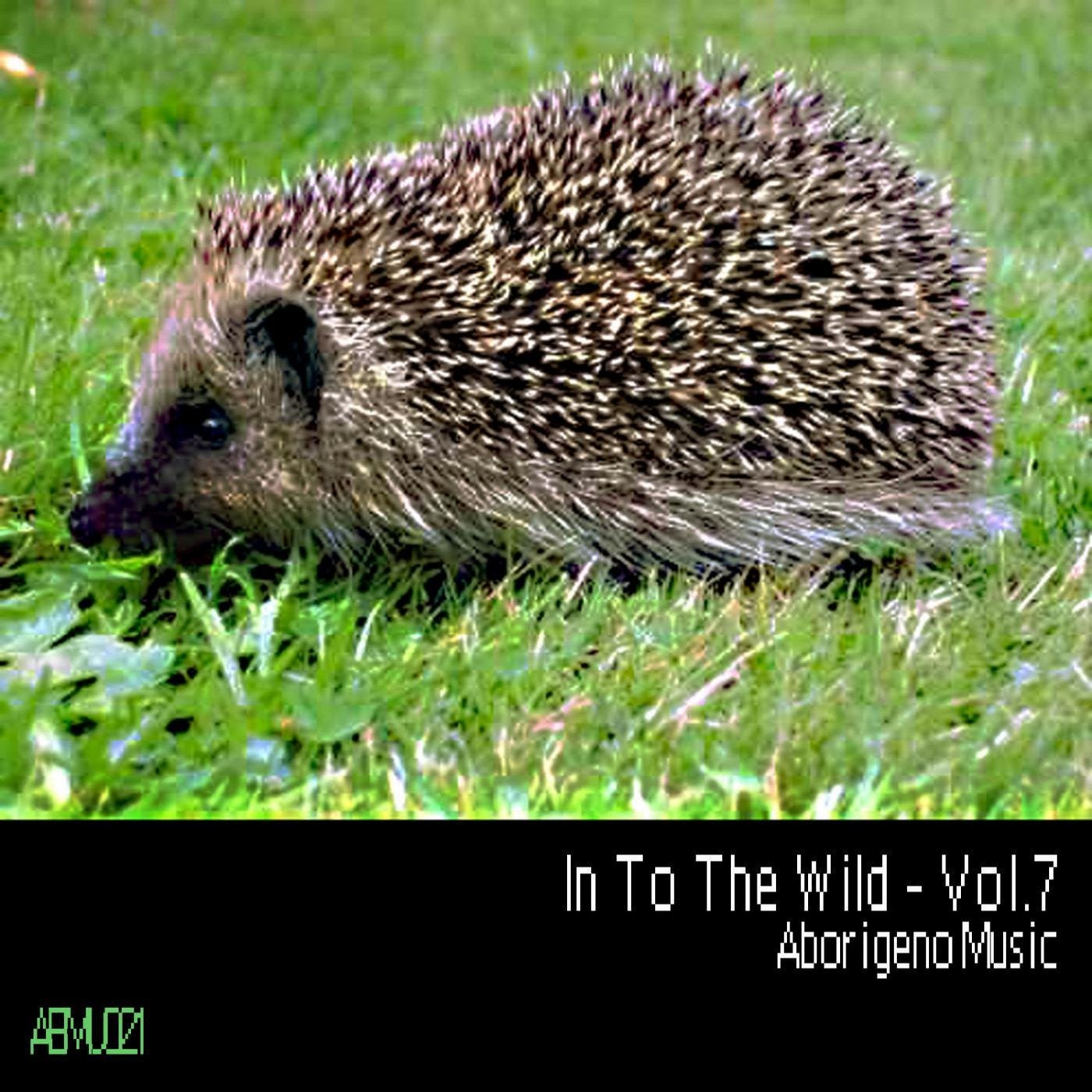 In To The Wild - Vol.7