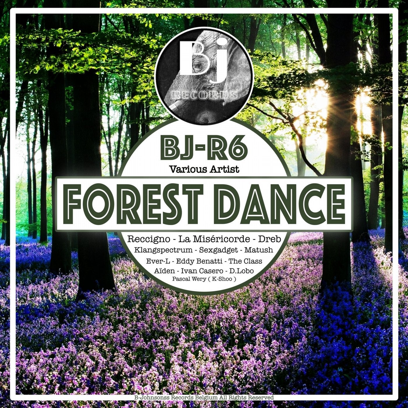 Forest Dance (First Album of Our New BJ-R Series)