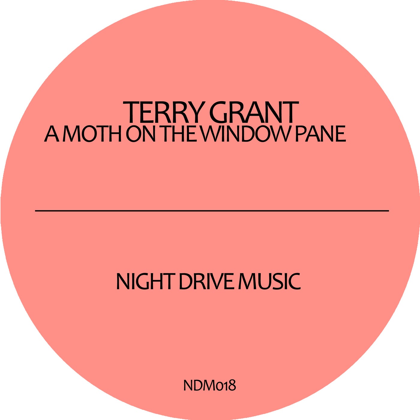 A Moth On the Window Pane