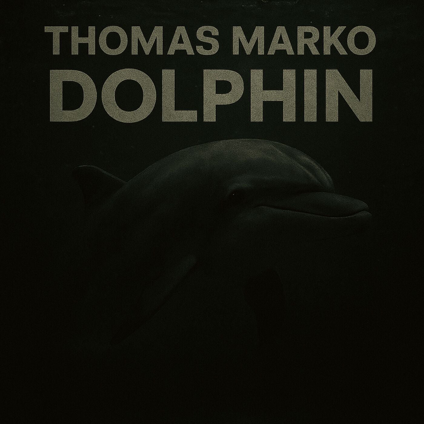 Dolphin