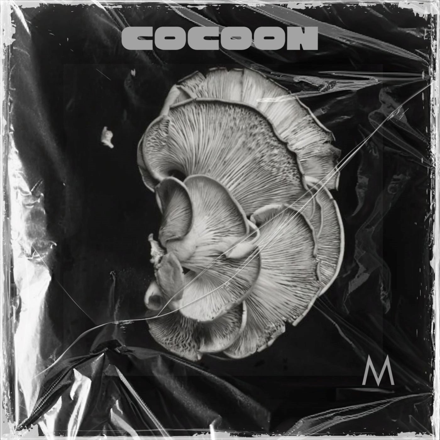 Cocoon