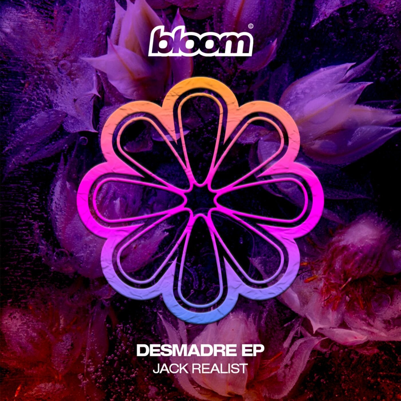 Bloom Sound Music & Downloads on Beatport