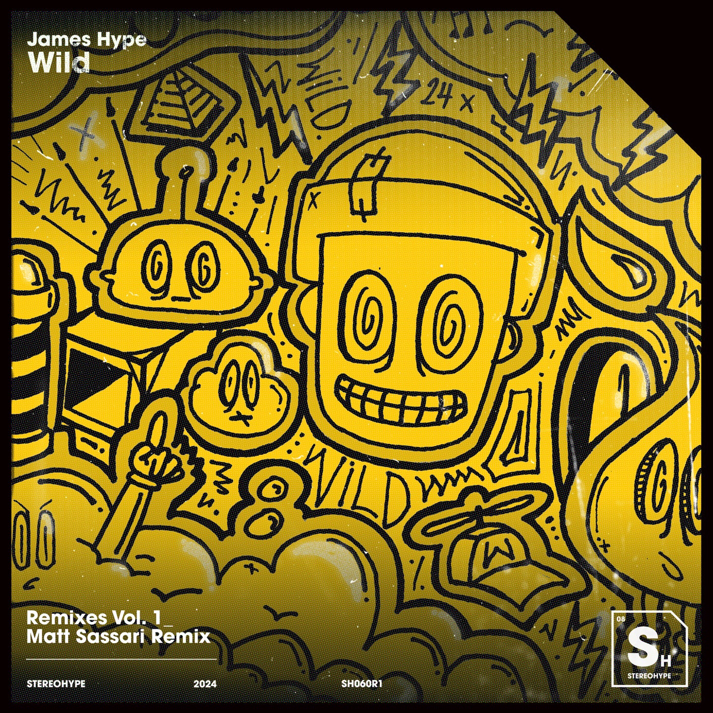 Wild (Matt Sassari Extended Remix)