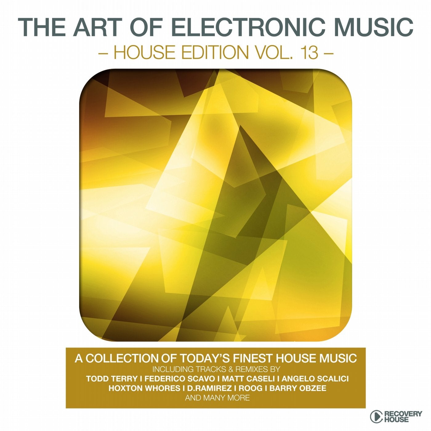The Art Of Electronic Music - House Edition Vol. 13