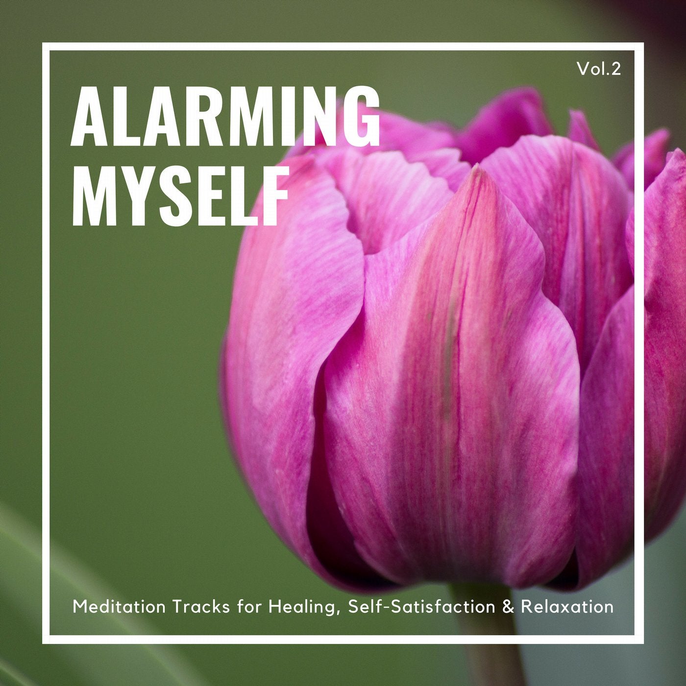 Alarming Myself - Meditation Tracks For Healing, Self-Satisfaction & Relaxation, Vol.2
